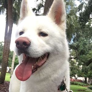 Meet your Posher, Imari